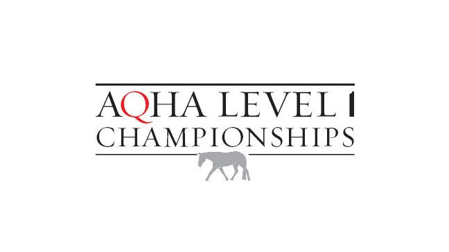 American Quarter Horse Association Level One Championship Limo Service