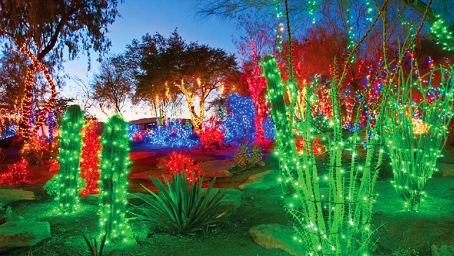 Holiday Limo Service To Ethel M Chocolates Holiday Cactus Garden